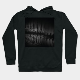 Shadow bones 1 Hoodie